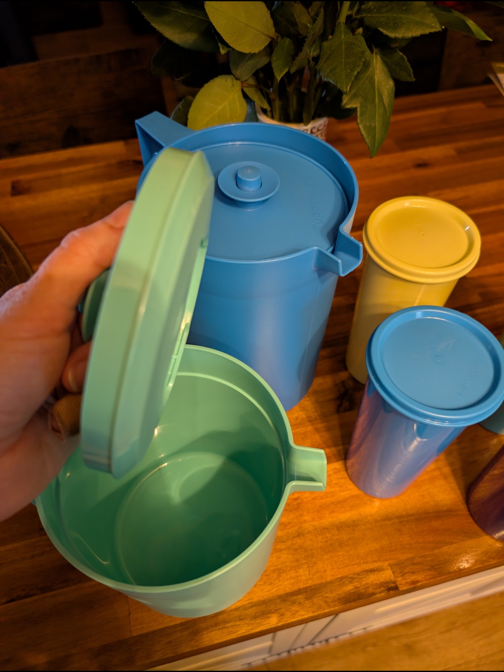 Tupperware (Never Used) - Picture 3 of 5